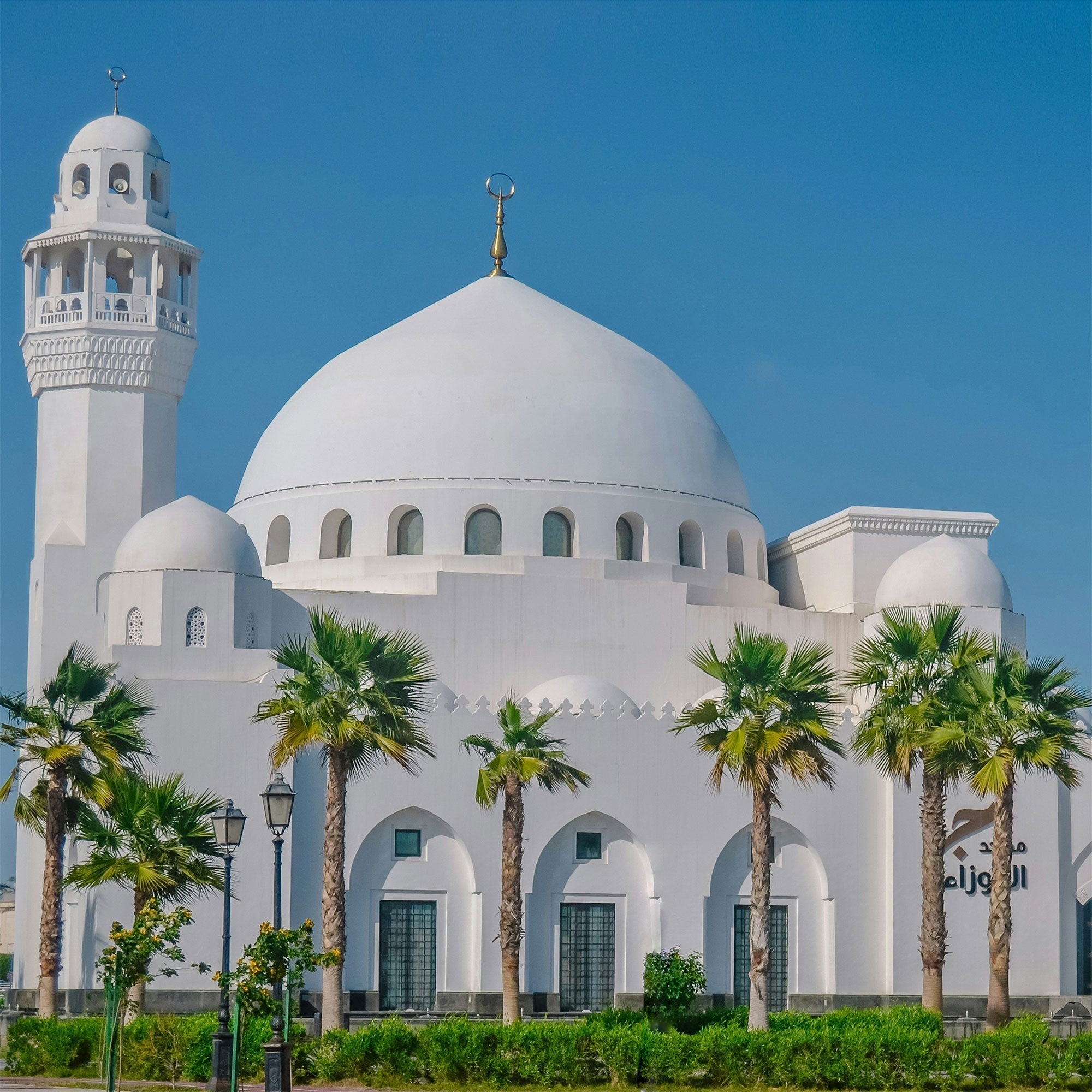 FerriFirenze continues its Middle East showcase with debuts in Dammam and Riyadh